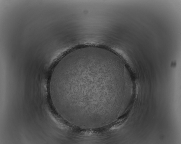 X0000089950688200707061121