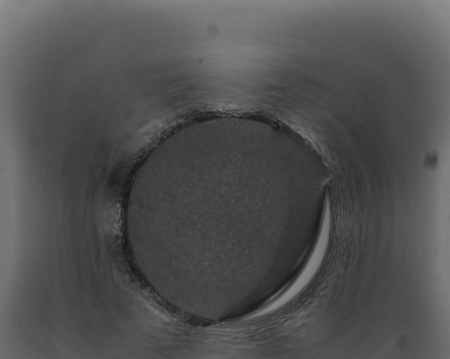 X0000089950689200707061121