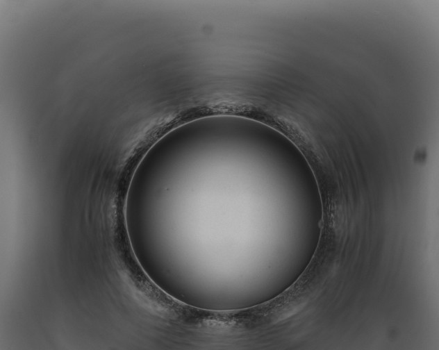 X0000089950690200707061121