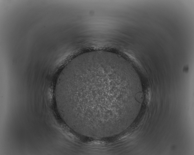 X0000089950691200707061121