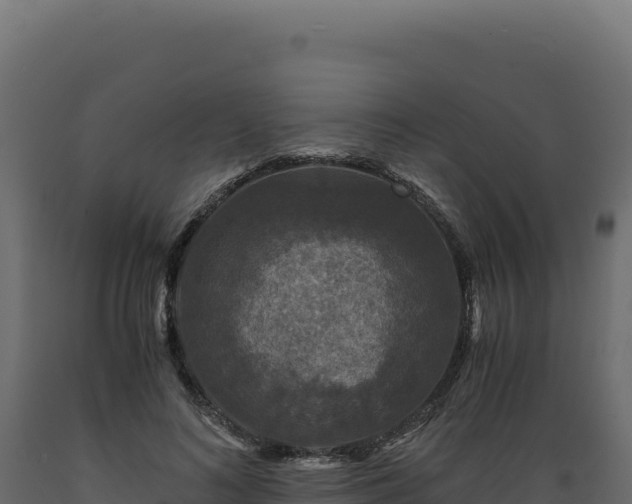X0000089950692200707061121