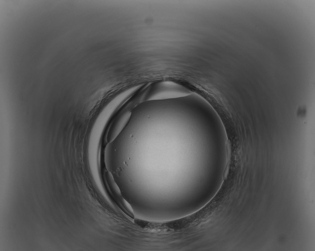 X0000089950693200707061121