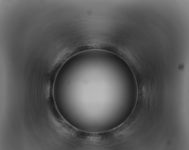 X0000089950694200707061121