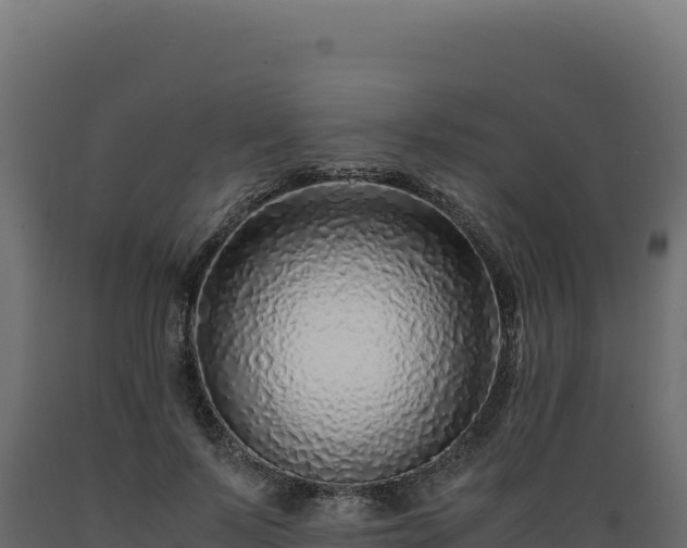 X0000089950695200707061121
