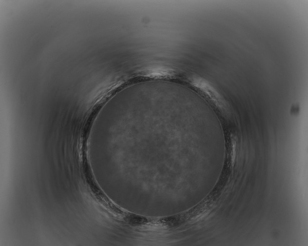 X0000089950696200707061121
