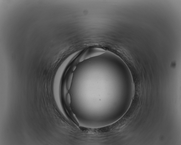 X0000089950697200707061121