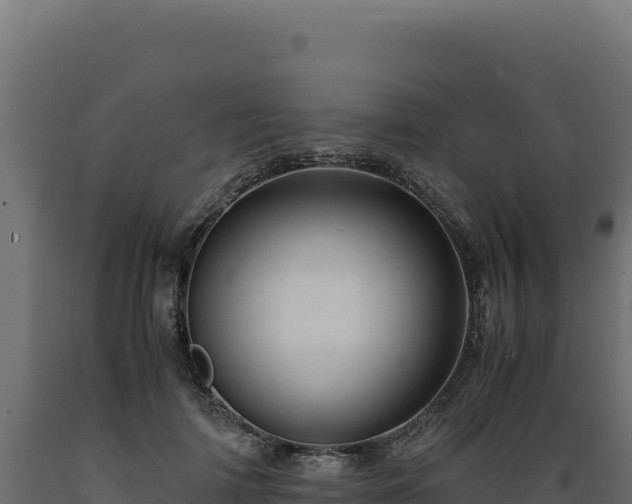 X0000089950698200707061121