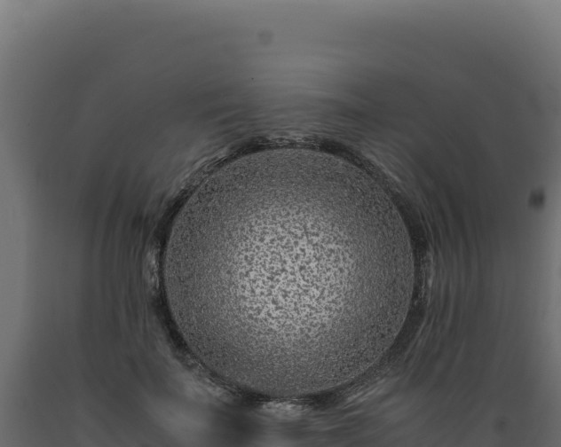 X0000089950699200707061121