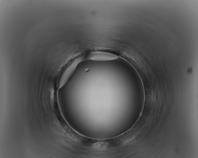 X0000089950700200707061121