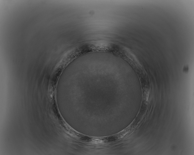 X0000089950701200707061121