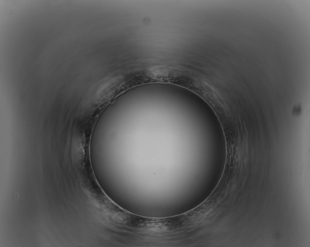 X0000089950702200707061121