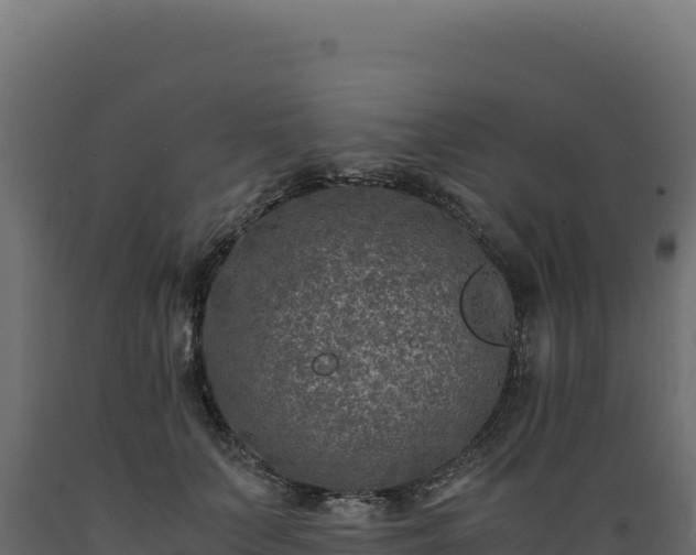 X0000089950703200707061121