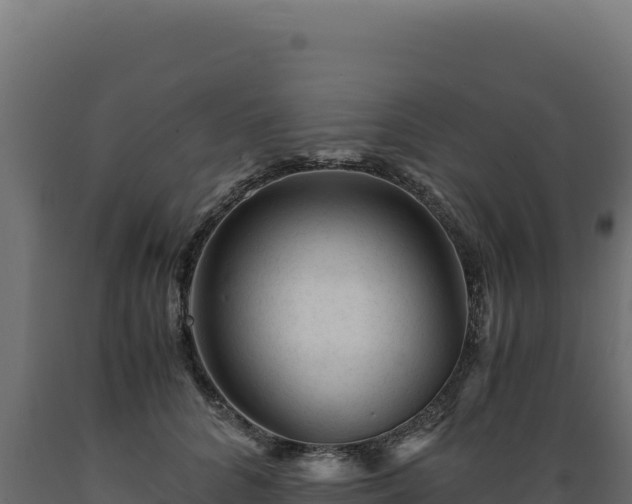 X0000089950704200707061121