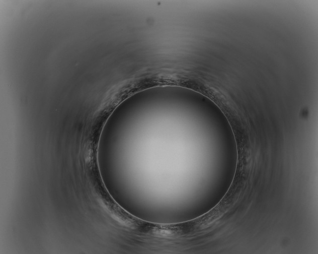 X0000089950706200707061120