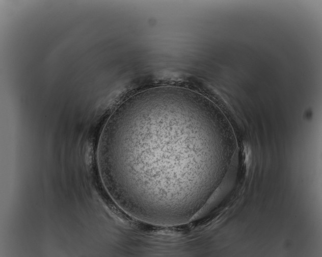 X0000089950708200707061120