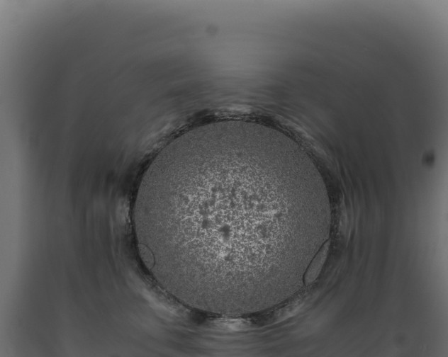 X0000089950711200707061120