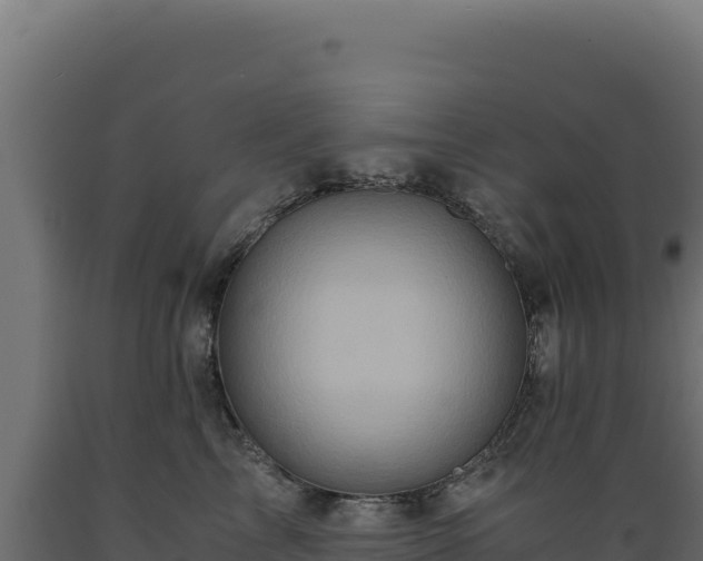X0000089950713200707061120
