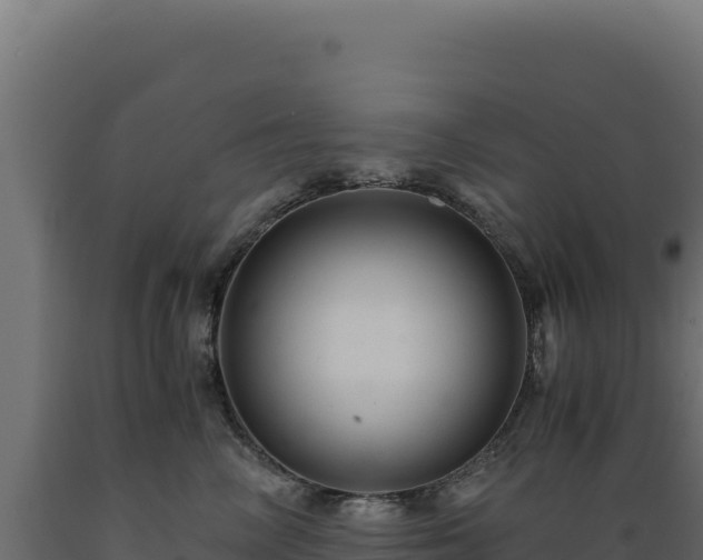 X0000089950714200707061120
