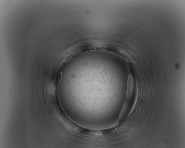 X0000089950715200707061120