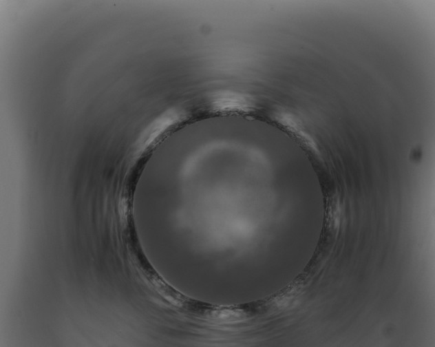 X0000089950716200707061120