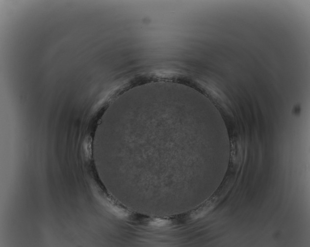 X0000089950718200707061120