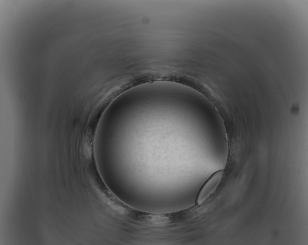 X0000089950719200707061120