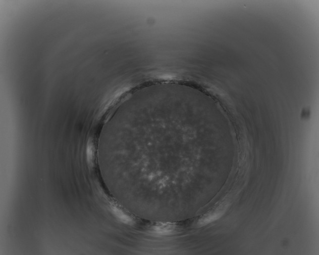 X0000089950720200707061120