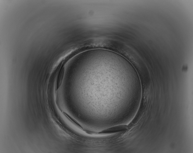 X0000089950722200707061120