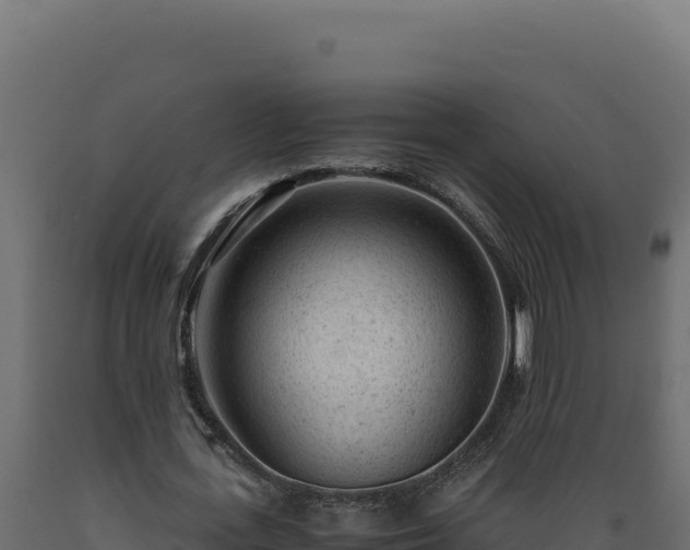 X0000089950723200707061120