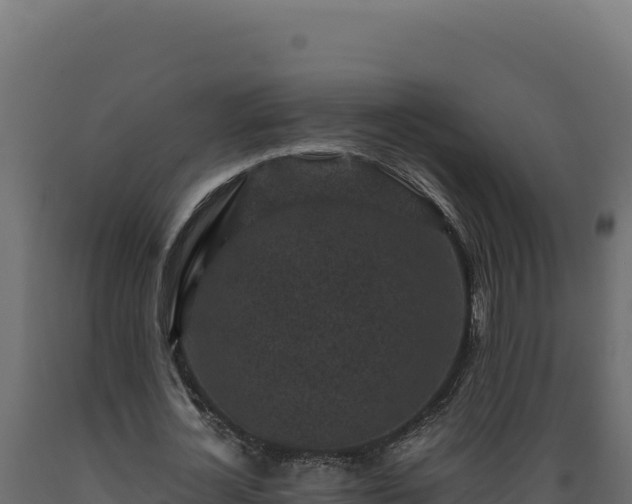 X0000089950724200707061120