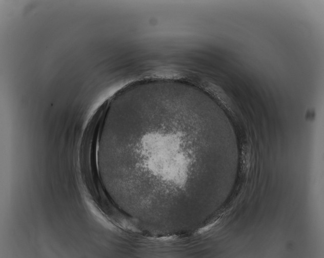 X0000089950726200707061120
