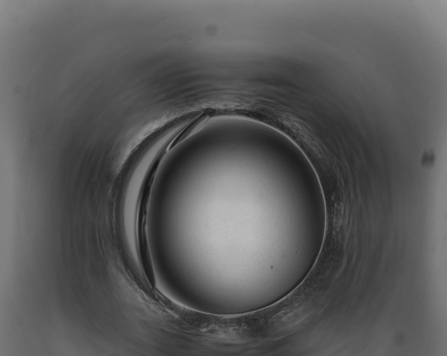 X0000089950727200707061120