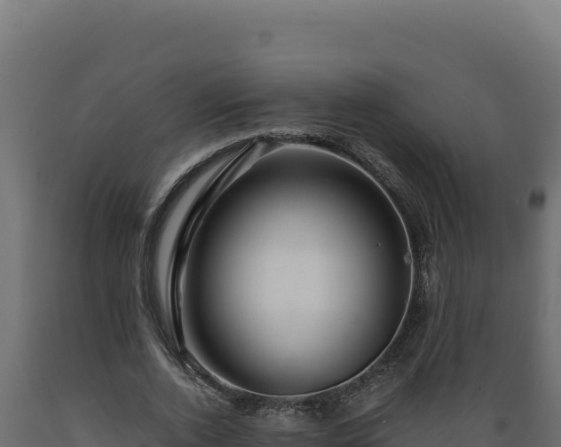 X0000089950728200707061120