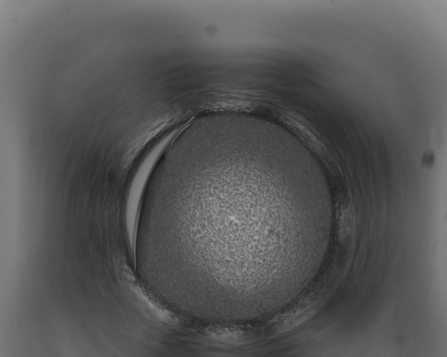 X0000089950729200707061120