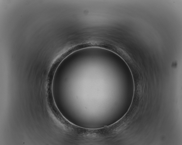 X0000089950730200707061120