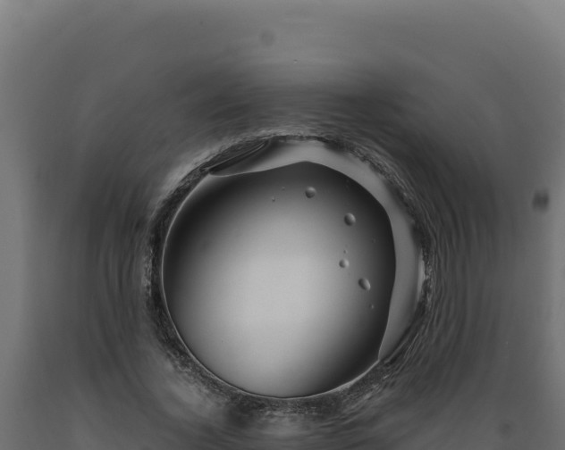 X0000089950732200707061120