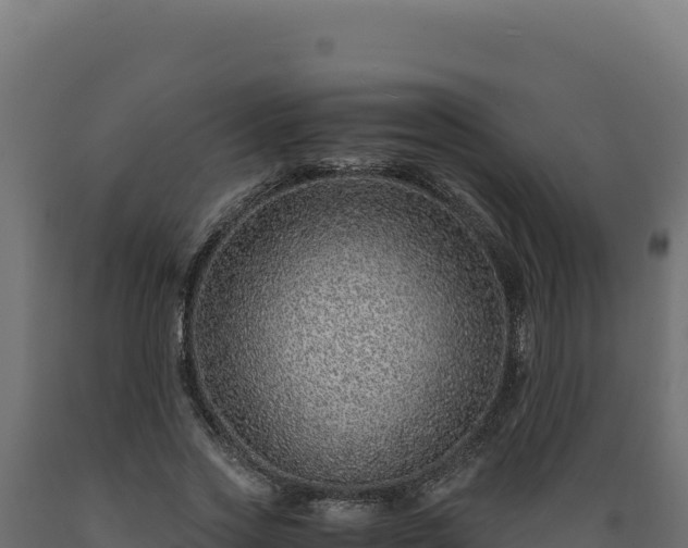 X0000089950733200707061120
