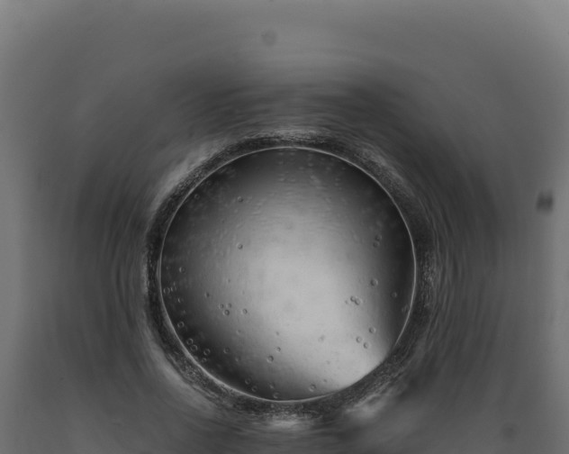 X0000089950734200707061120