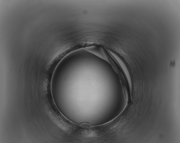 X0000089950735200707061120