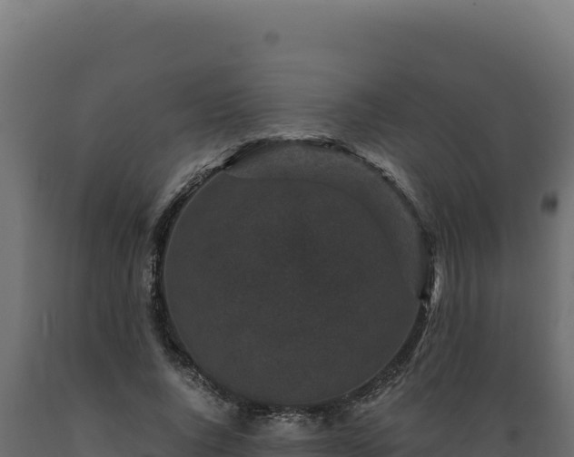 X0000089950736200707061120