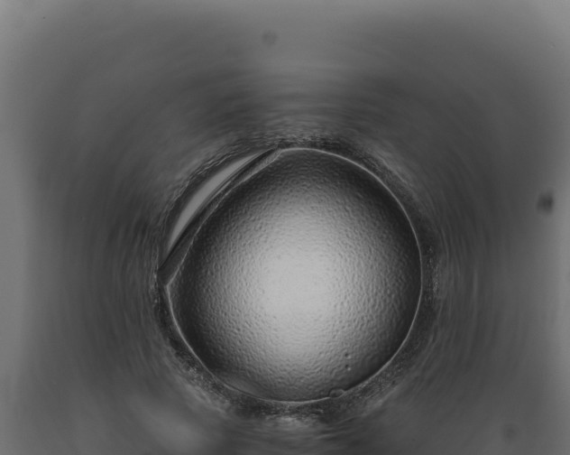 X0000089950737200707061120