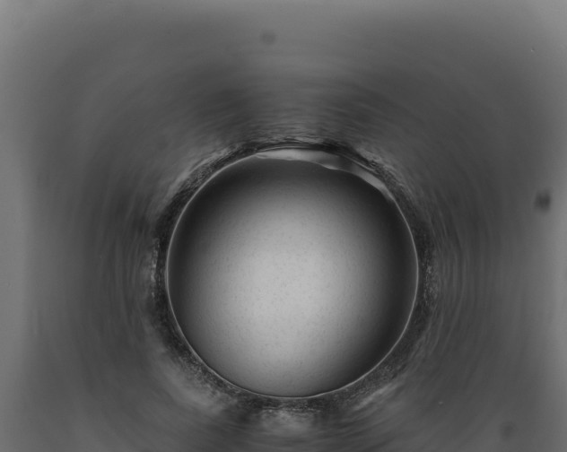 X0000089950739200707061120