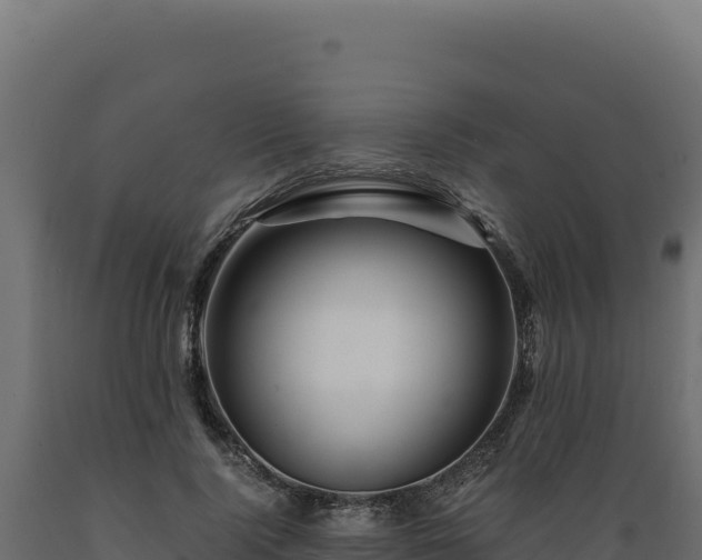 X0000089950740200707061120