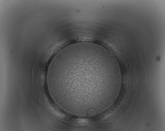 X0000089950741200707061120