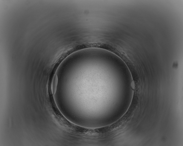 X0000089950742200707061120