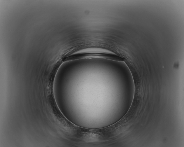 X0000089950743200707061120