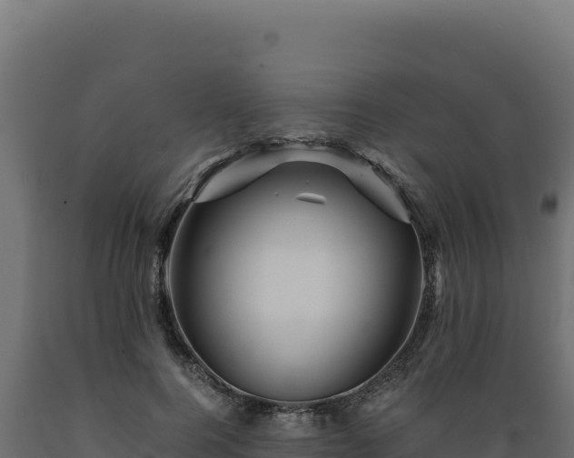 X0000089950744200707061120