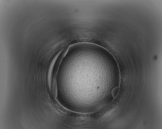 X0000089950745200707061120