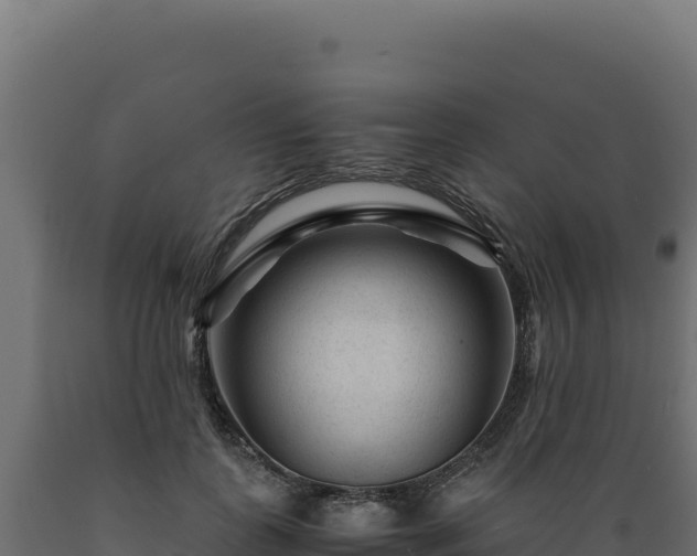 X0000089950747200707061120