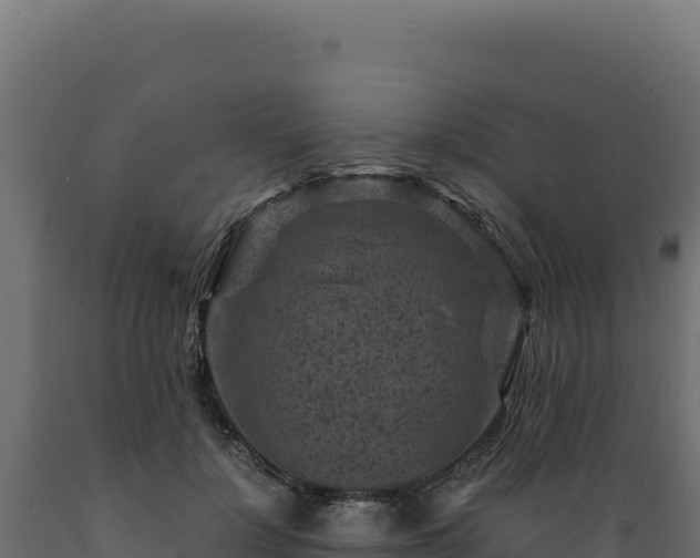 X0000089950748200707061120